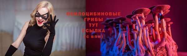 spice Каменск-Шахтинский