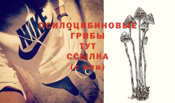 дурь Козловка